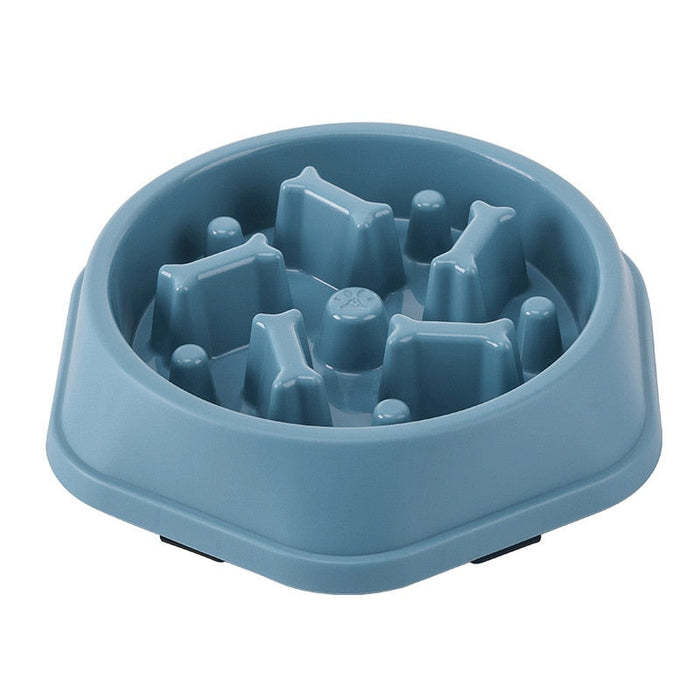 Feeding & Bowls