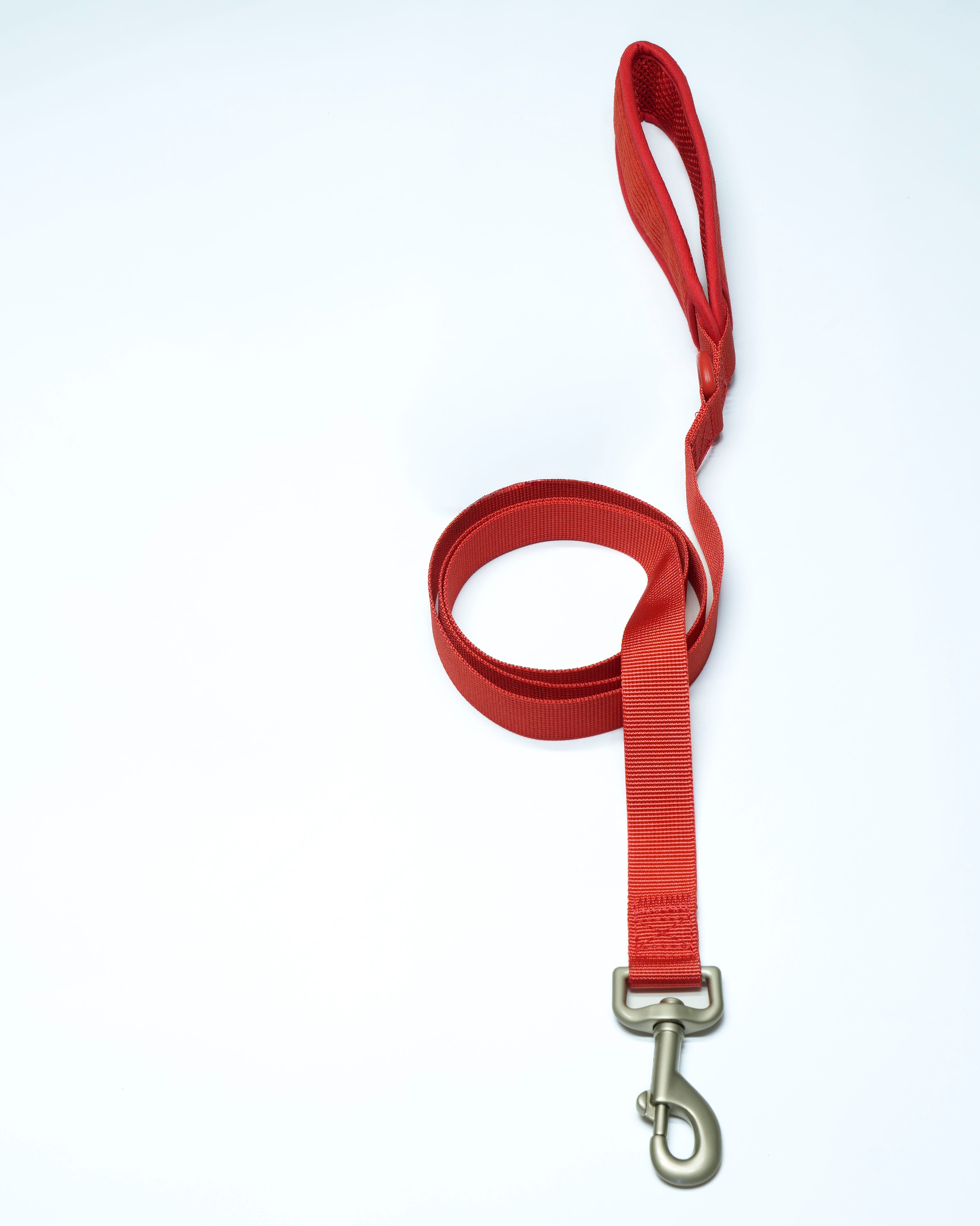 Berry Cordelia Dog Leash