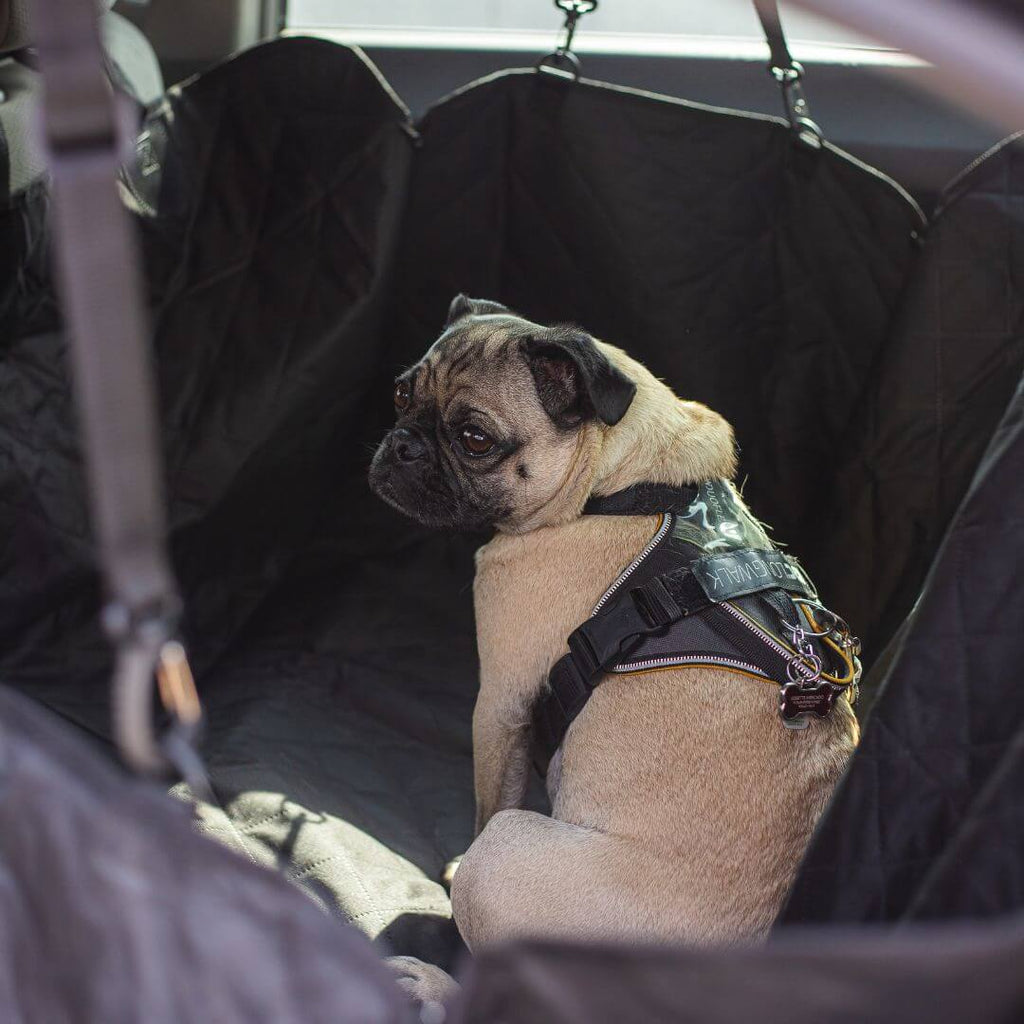 Dog Car Seat Cover