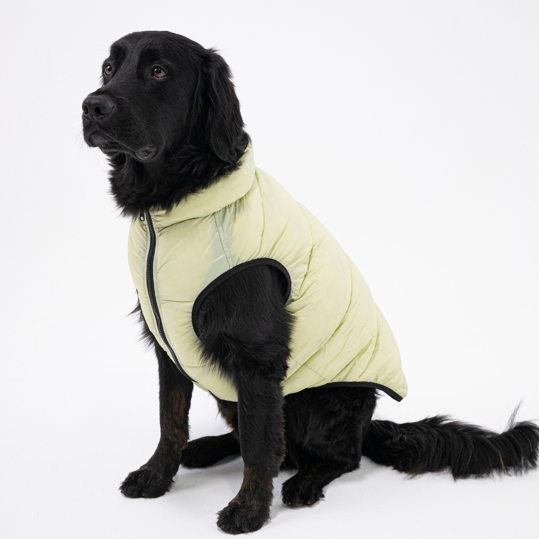 PocketFlip Reversible Dog Coat