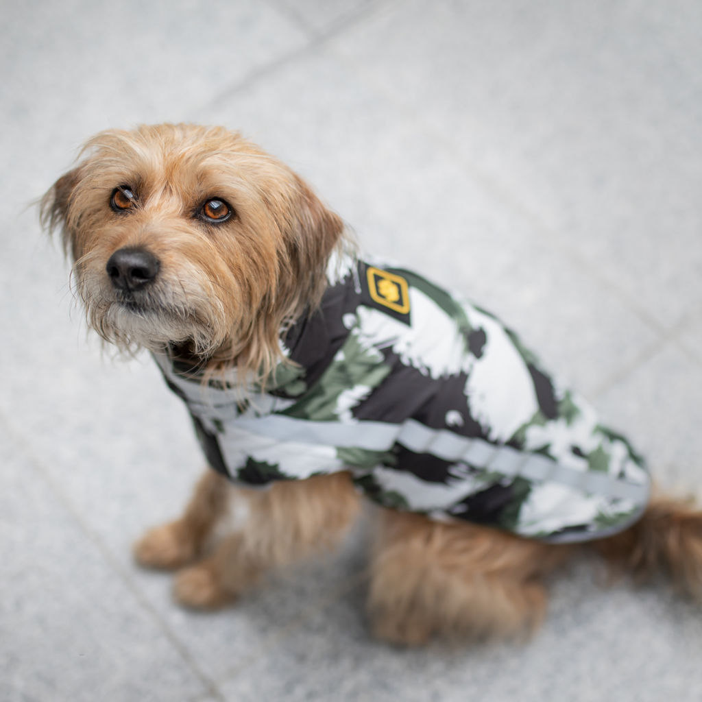 Active+ Thermo Dog Coat