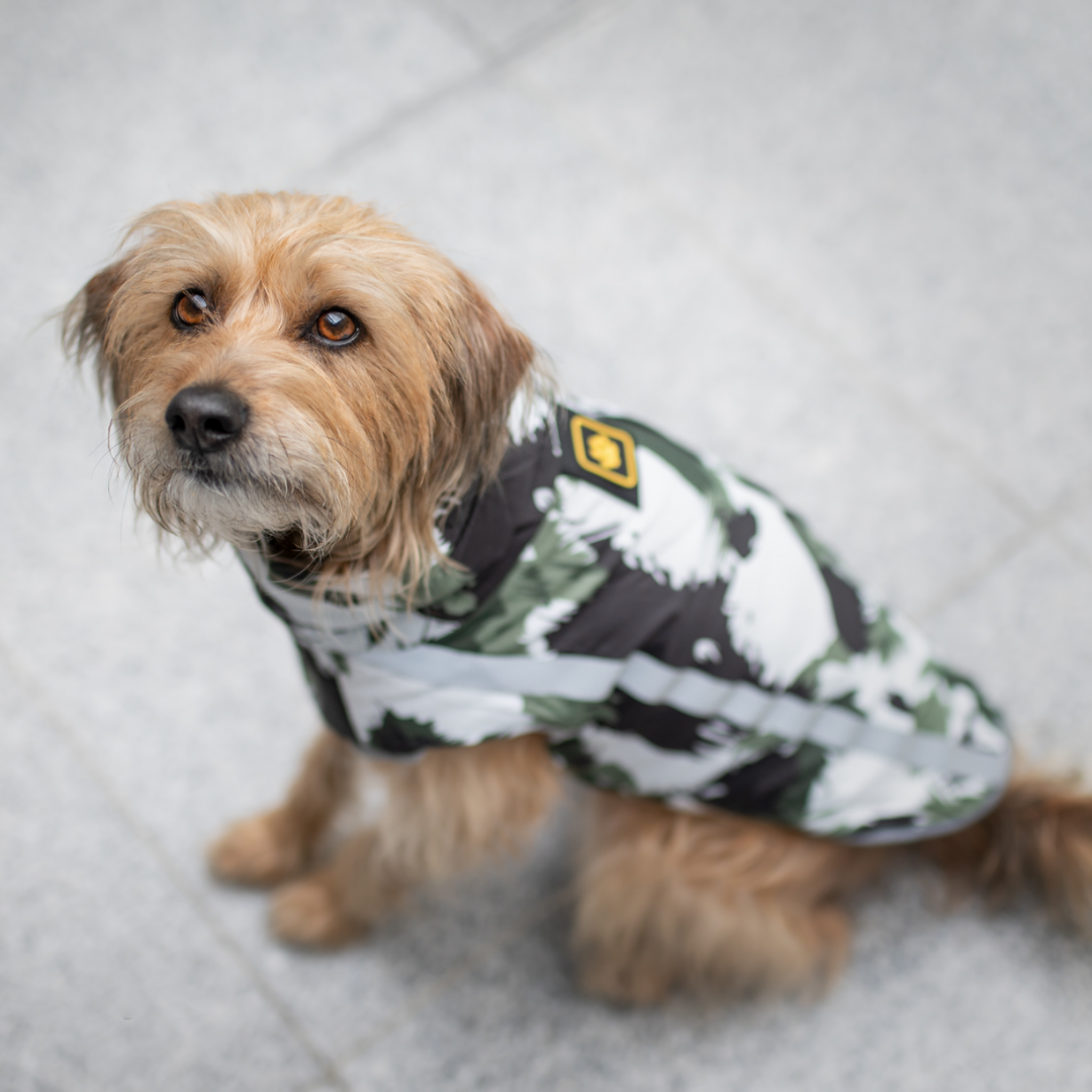 Active+ Thermo Dog Coat
