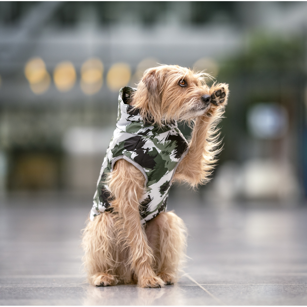 Active+ Thermo Dog Coat