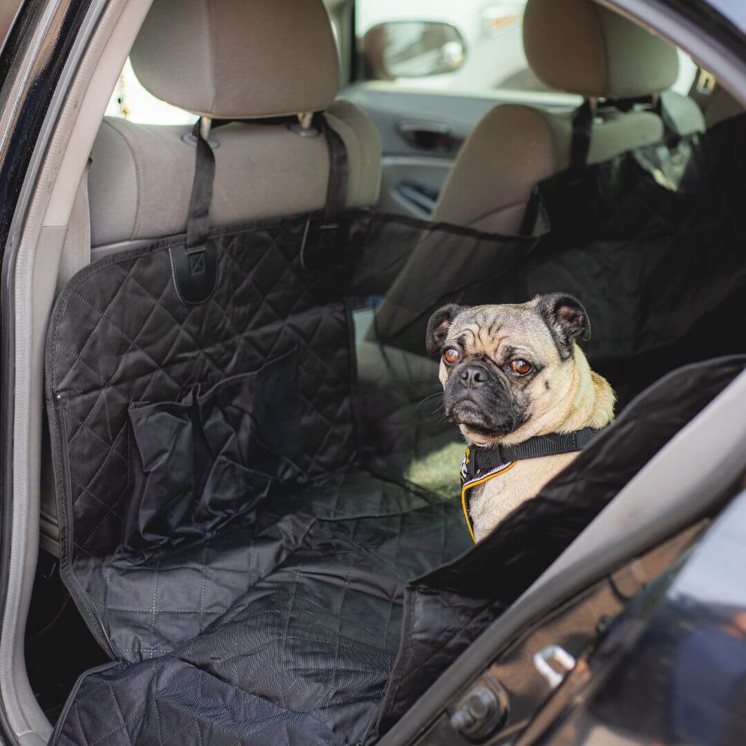 Dog Car Seat Cover