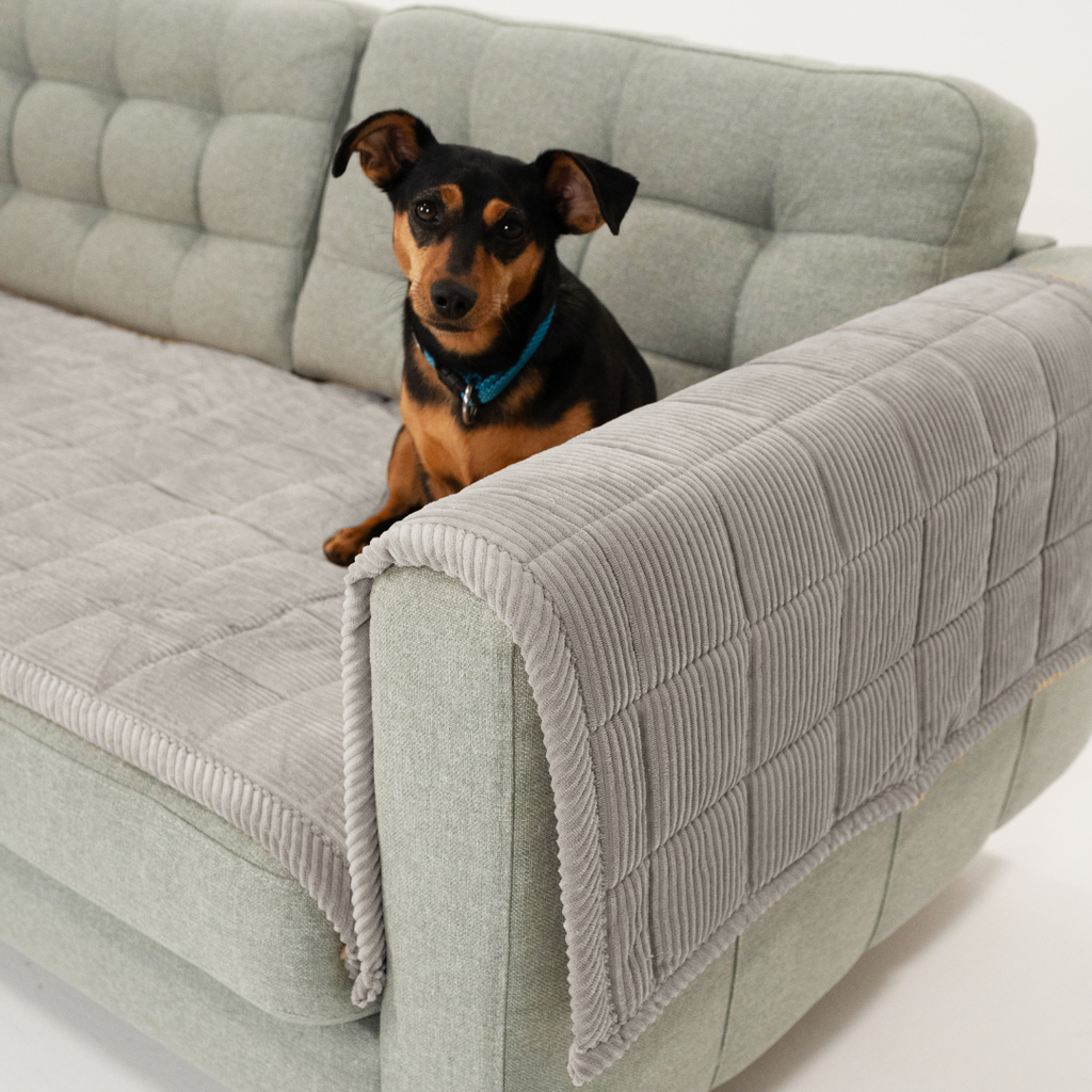 Sofa Guard Soft Couch Cover