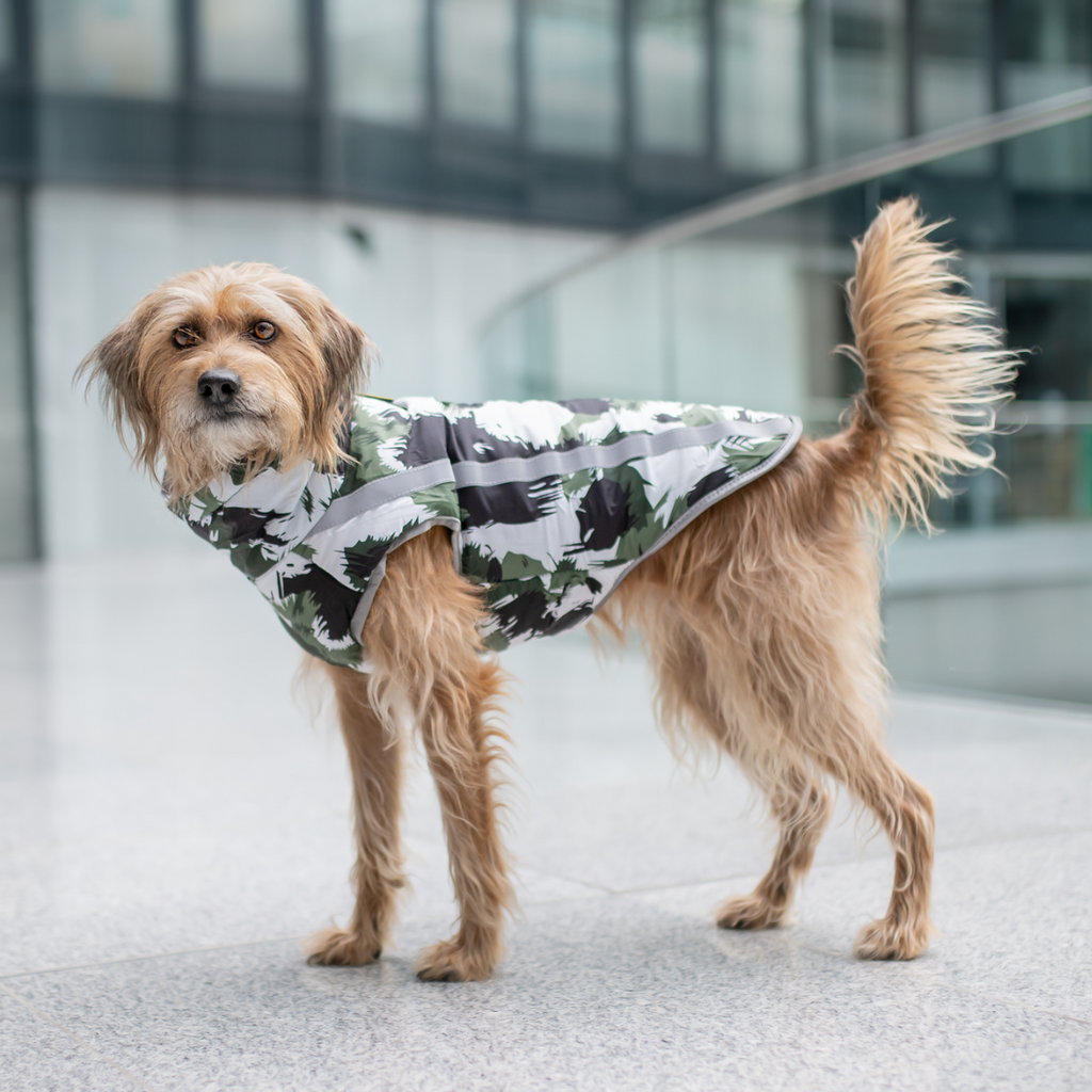 Active+ Thermo Dog Coat