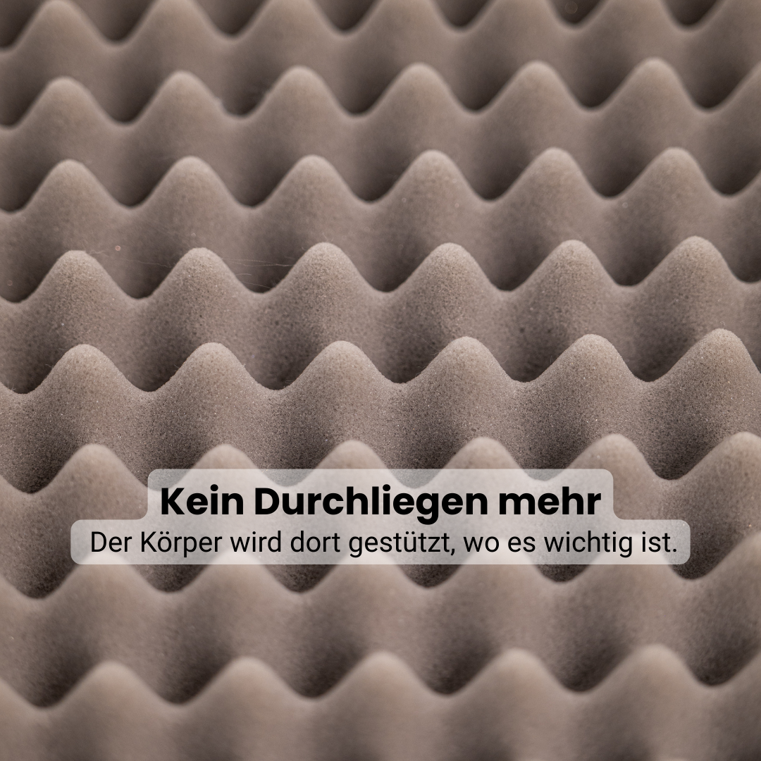 Lunero DeepSleep Orthopedic Dog Bed