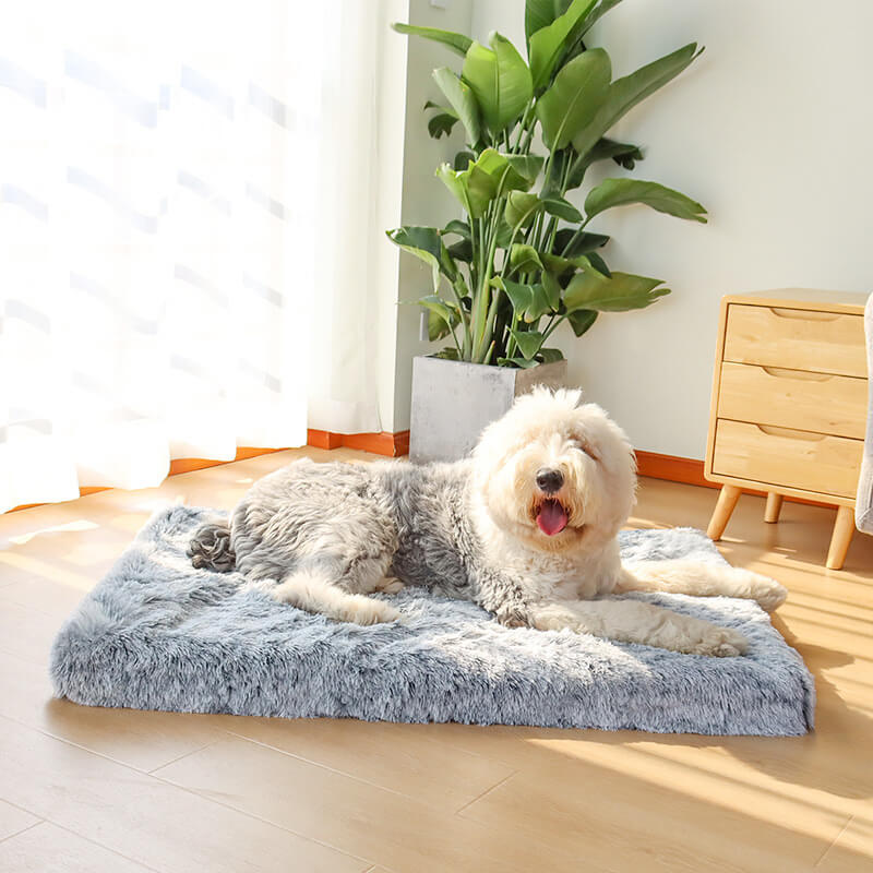 Orthopedic Dog Cushion