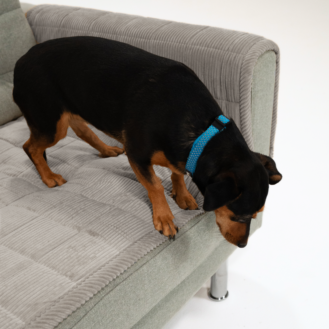 Sofa Guard Soft Couch Cover