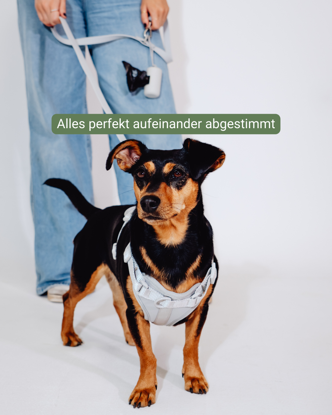 Graphit Velvy Harness Set