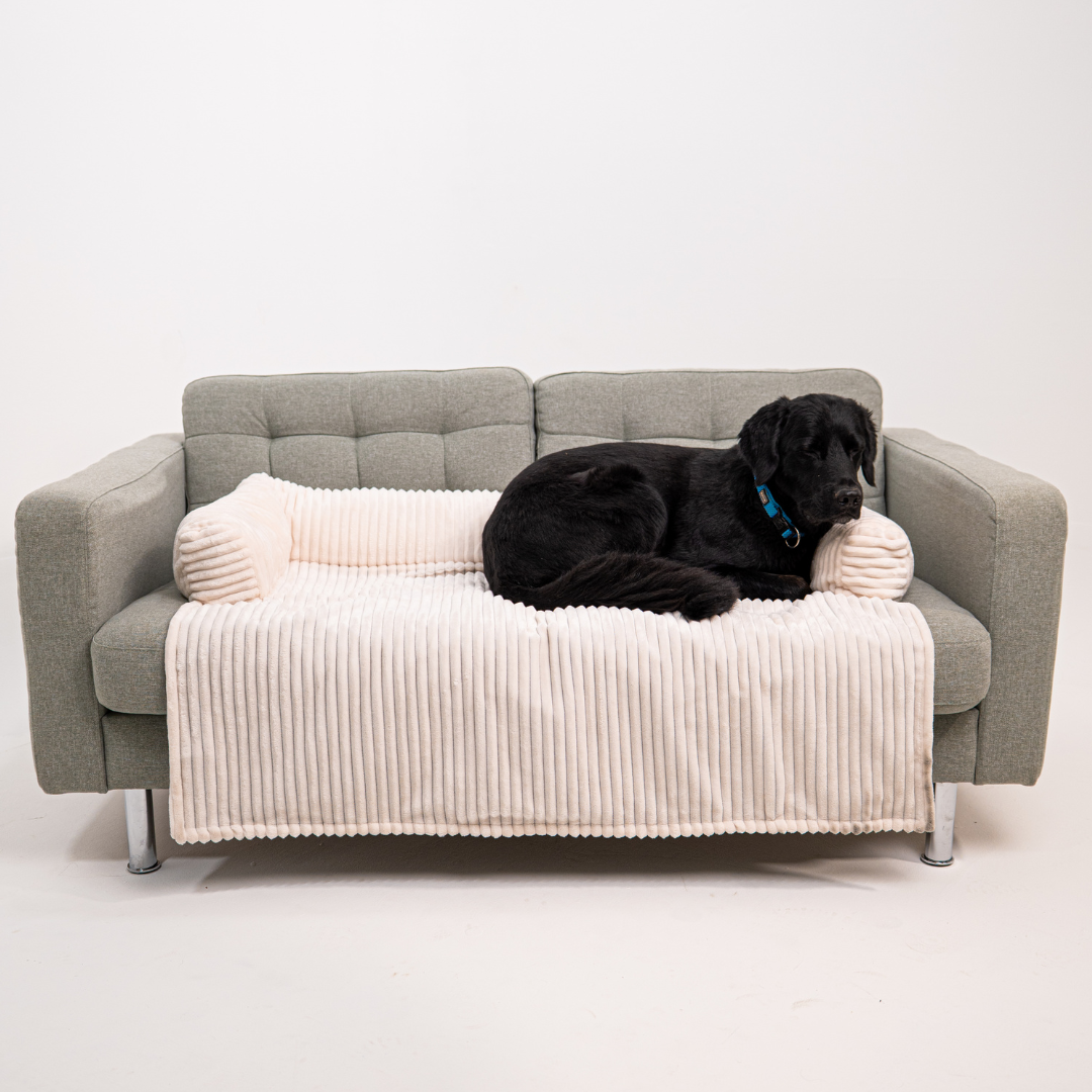 Cloufy Shield Dog Sofa Cover