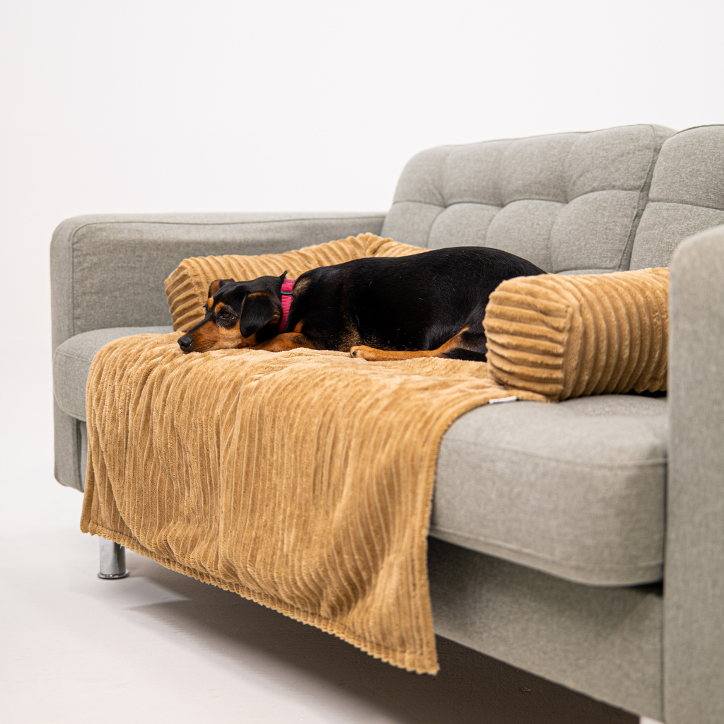 Cloufy Shield Dog Sofa Cover