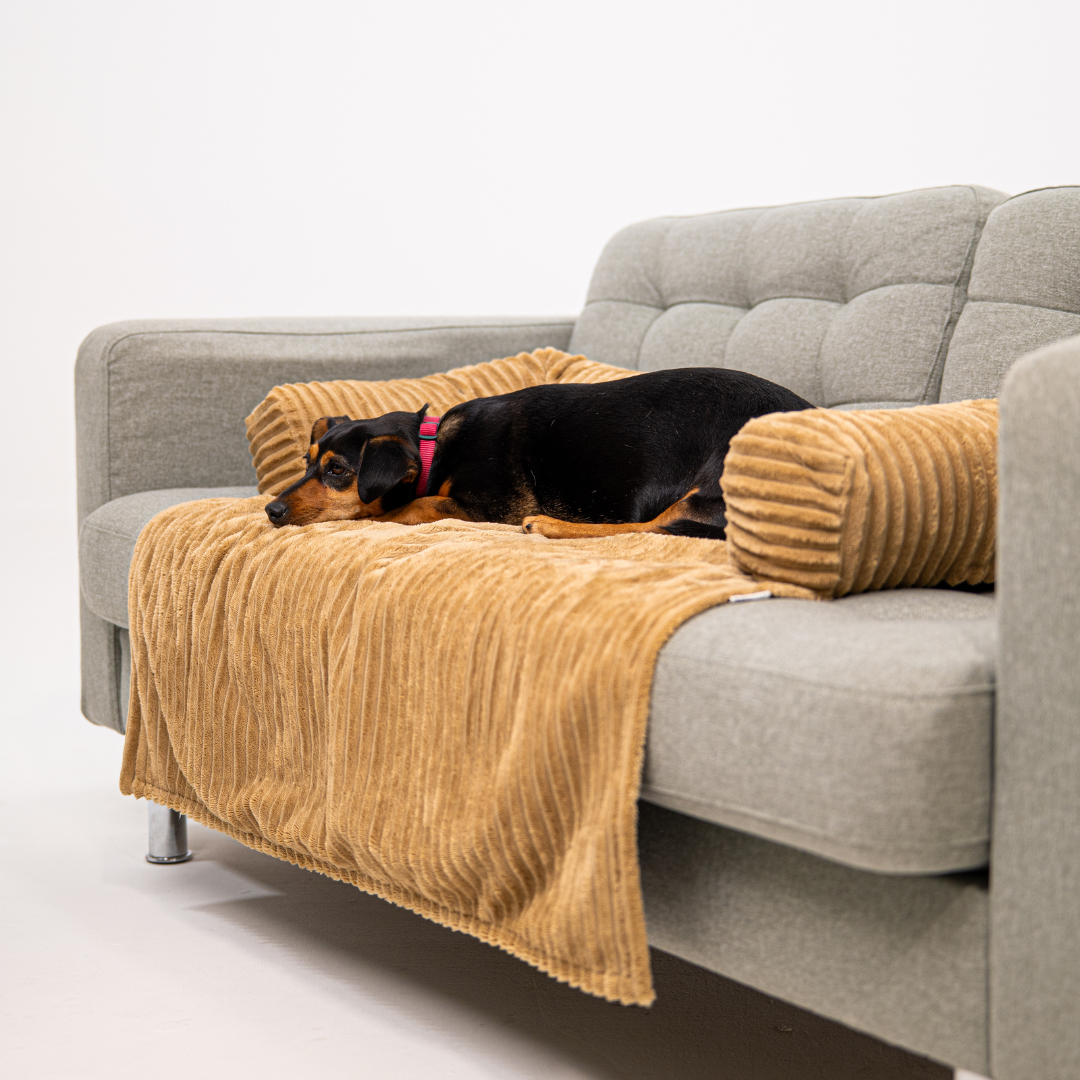 Cloufy Shield Dog Sofa Cover