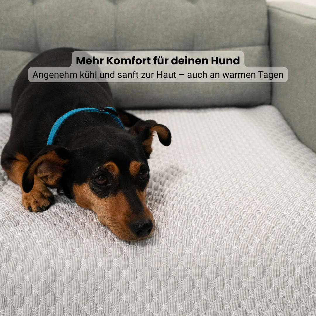 Sofa Guard Breeze Cooling Cover