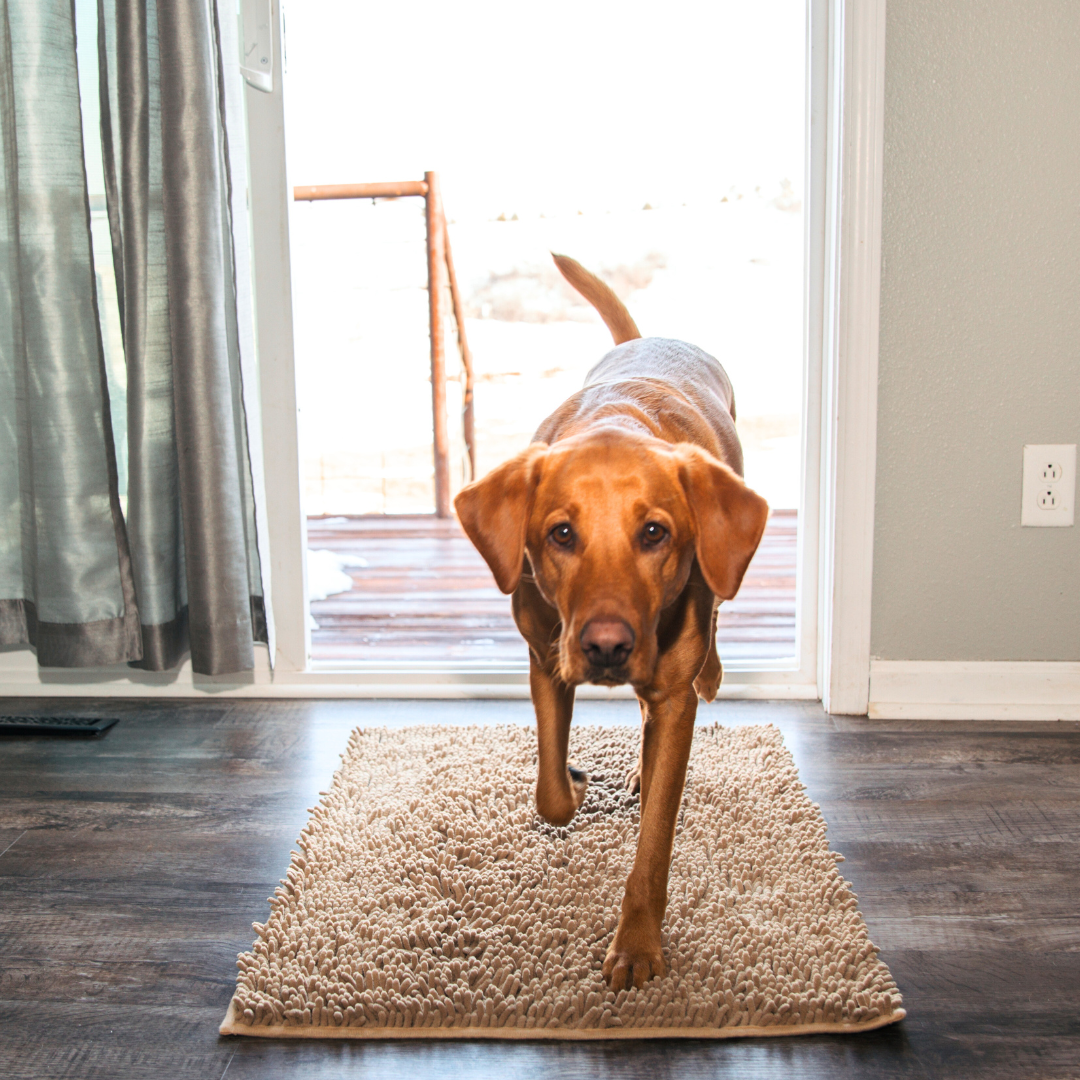 Premium CleanyMat Drying Mat
