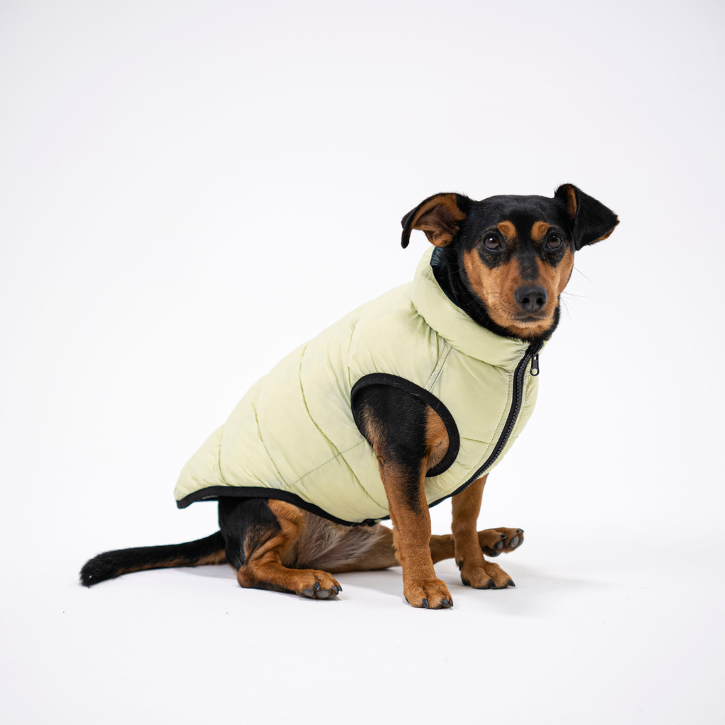 PocketFlip Reversible Dog Coat