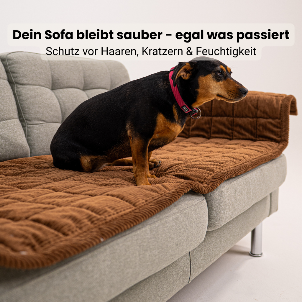 Sofa Guard Soft Couch Cover