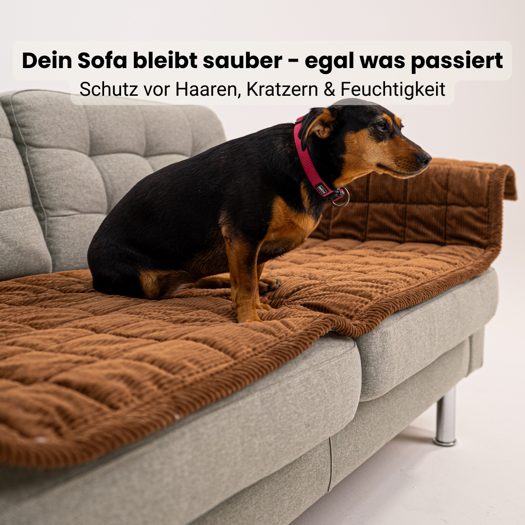 Sofa Guard Soft Couch Cover