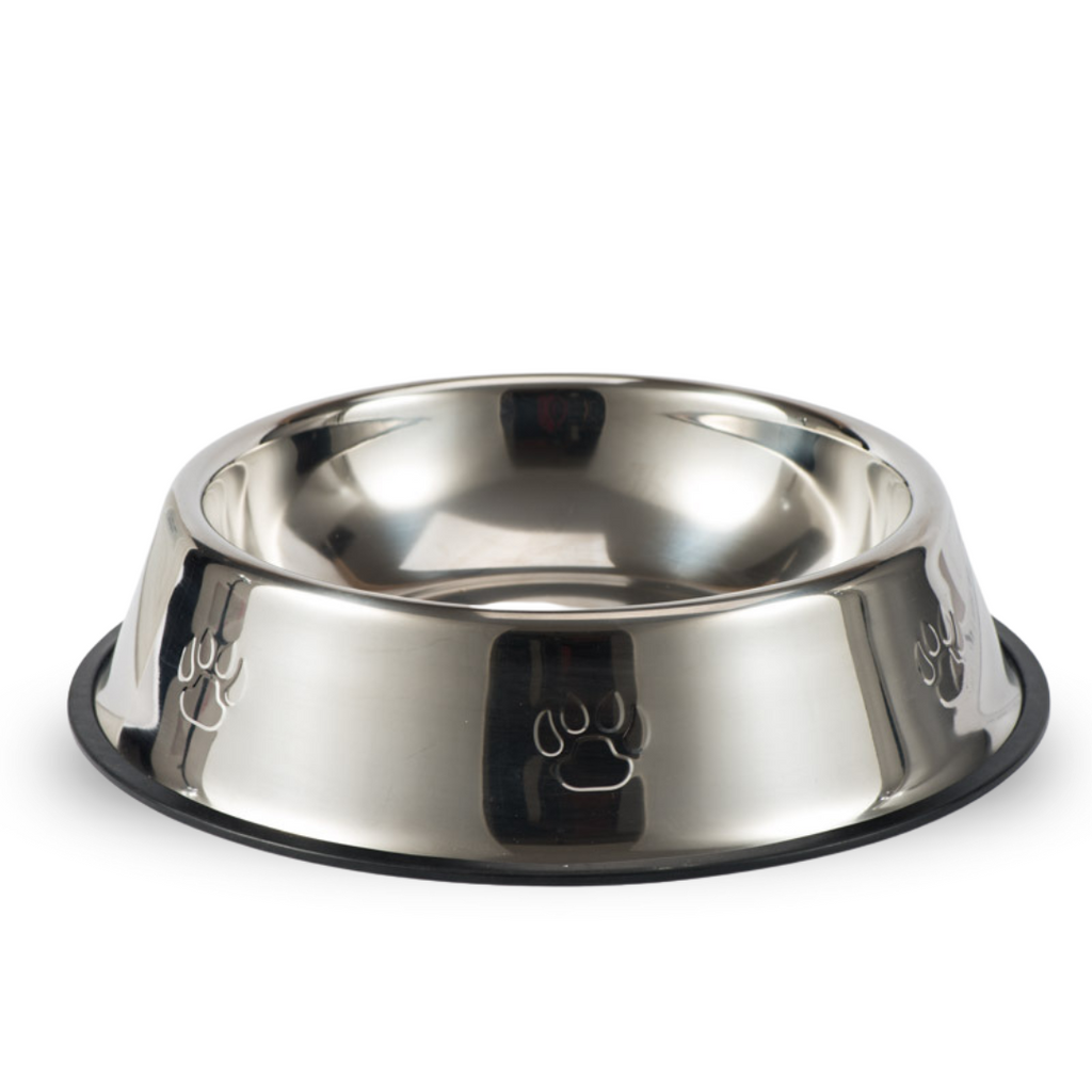 Ene Stainless Steel Dog Bowl