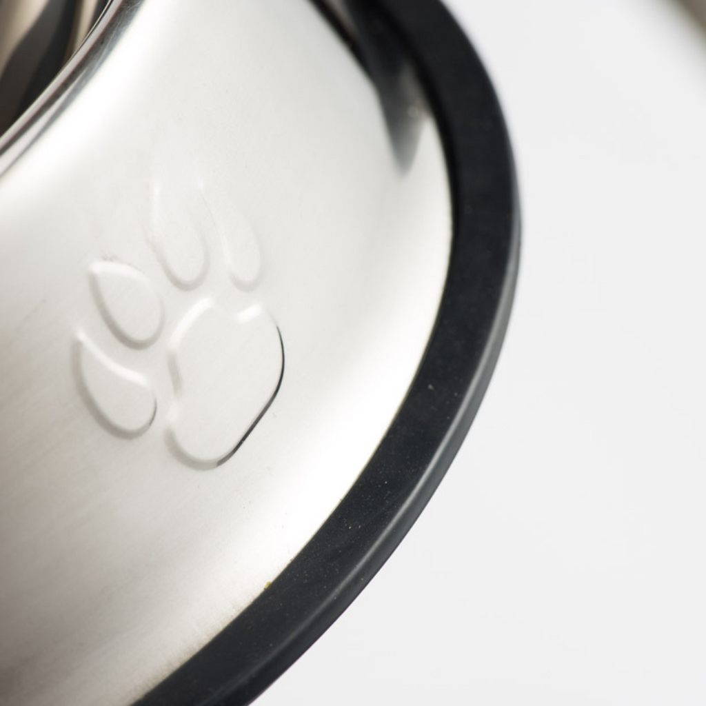 Ene Stainless Steel Dog Bowl