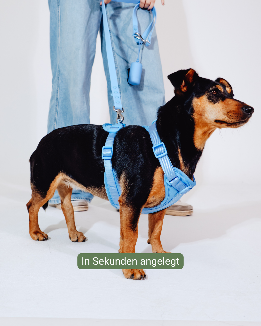 Nordwind Velvy Harness Set