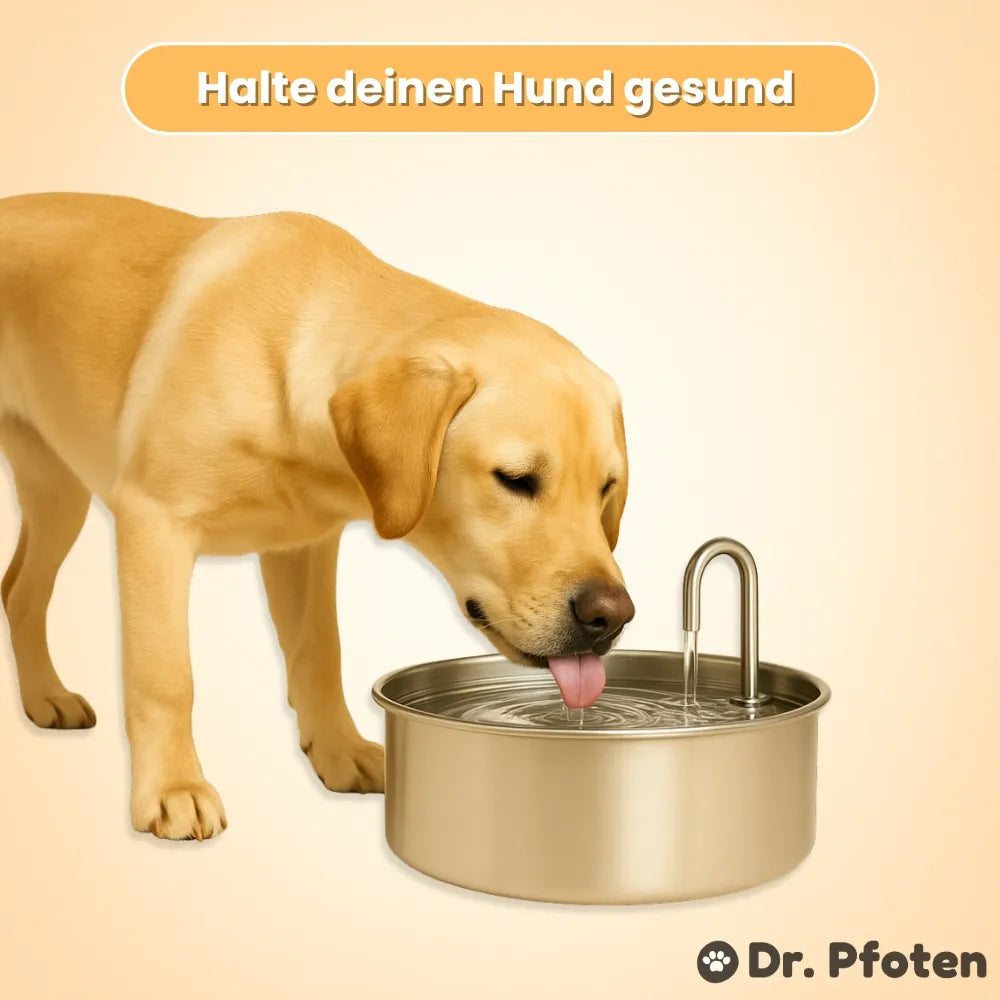 AquaFlow Pet Water Fountain