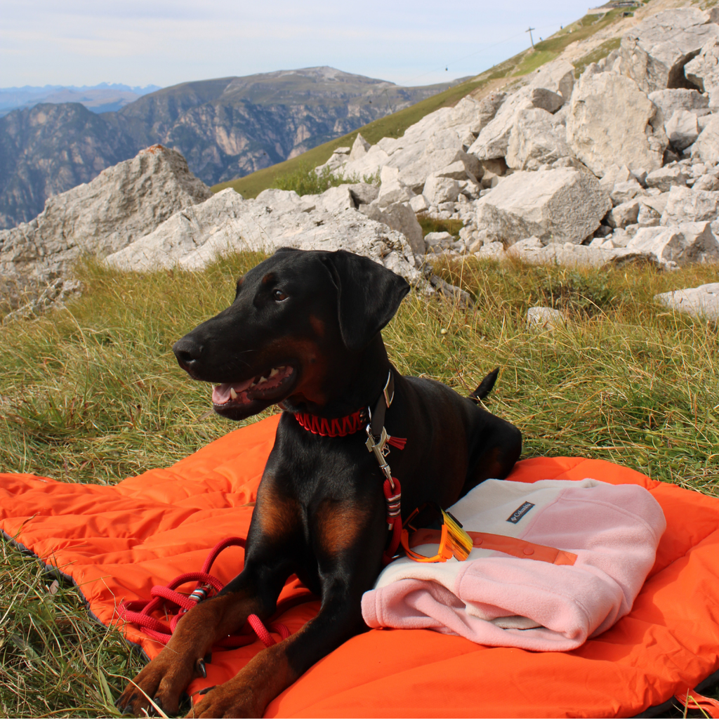 Nomad Outdoor Dog Mat