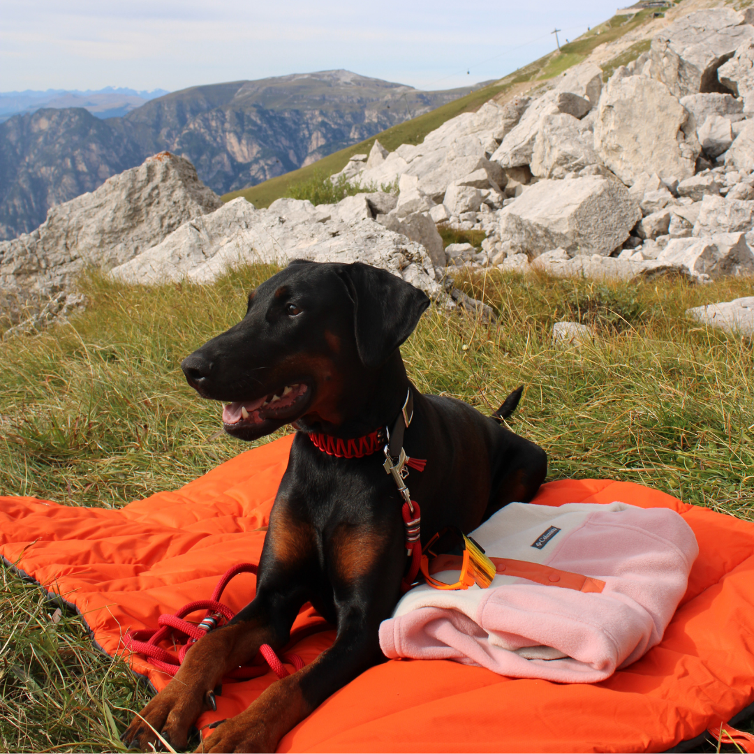 Nomad Outdoor Dog Mat