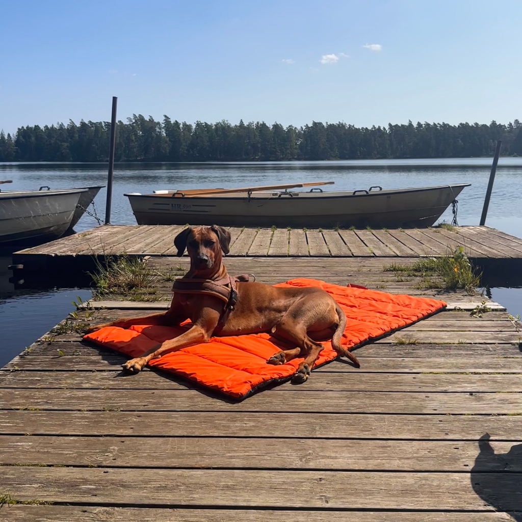 Nomad Outdoor Dog Mat