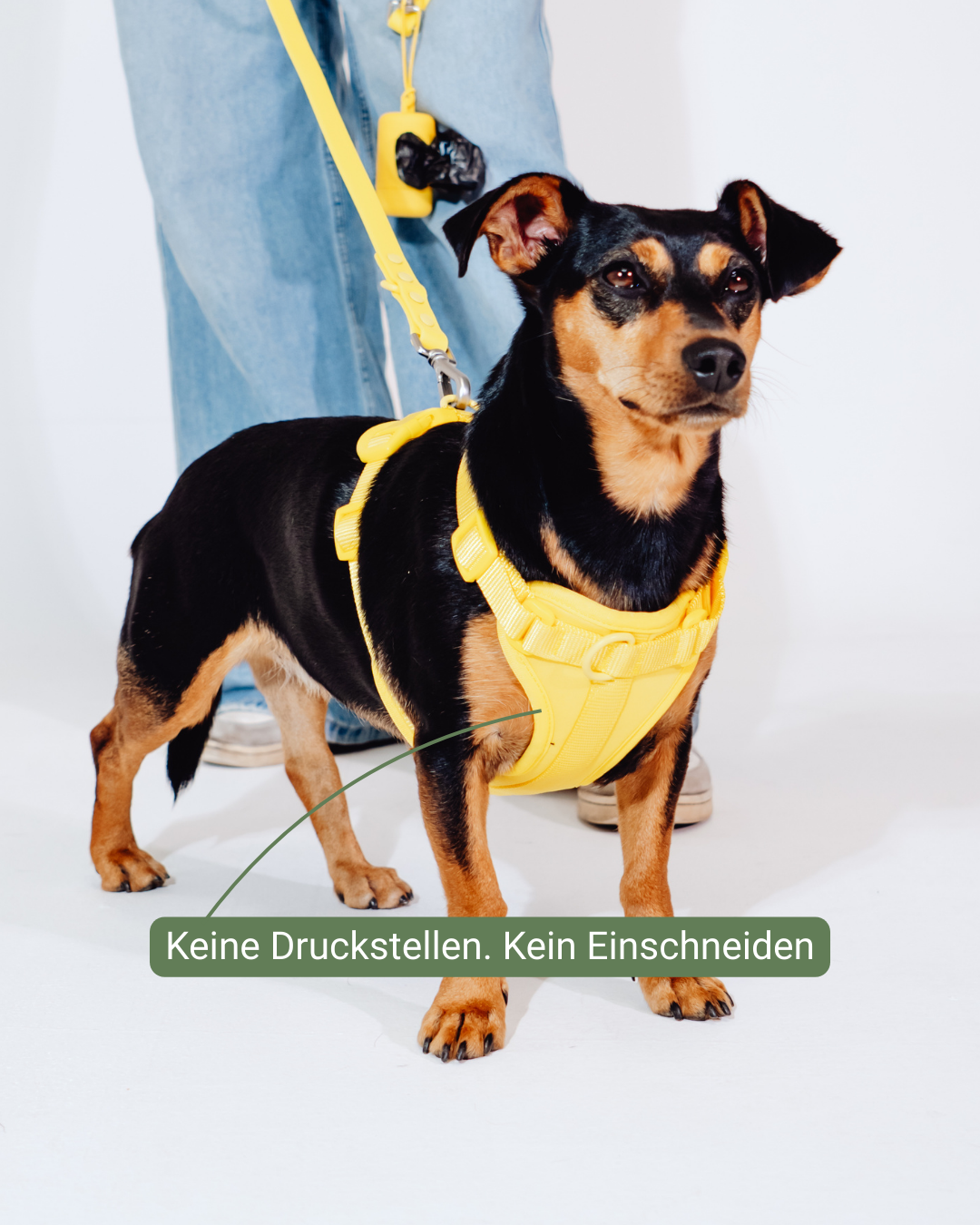 Sunny Soul Velvy Harness Set