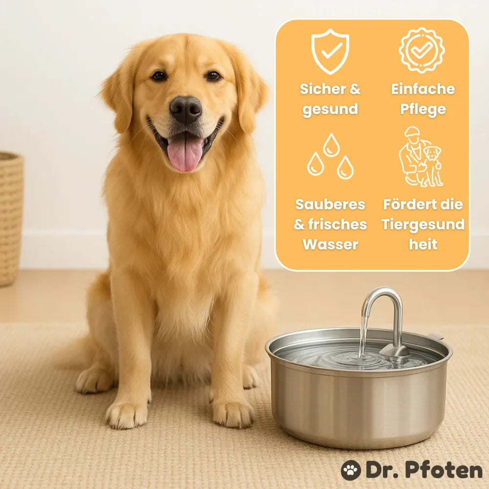 AquaFlow Pet Water Fountain