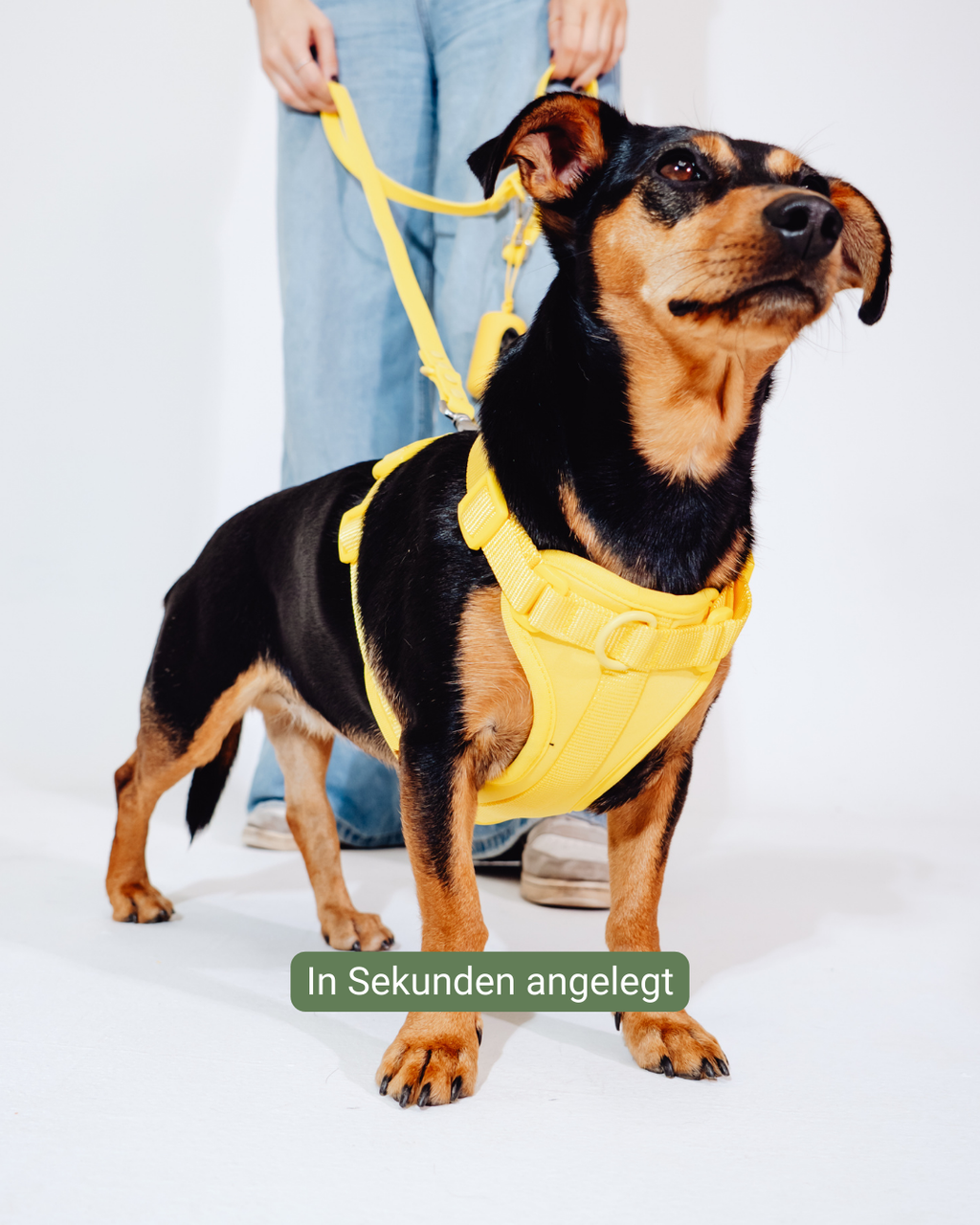 Sunny Soul Velvy Harness Set