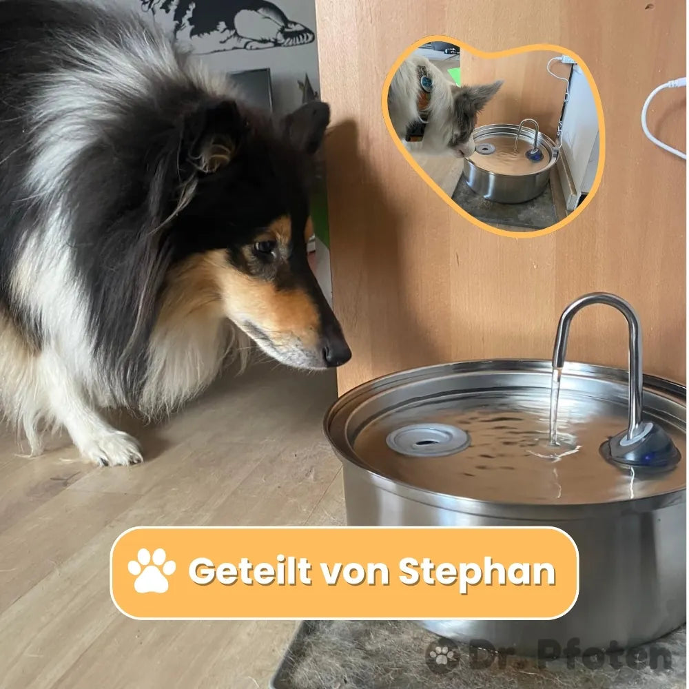 AquaFlow Pet Water Fountain