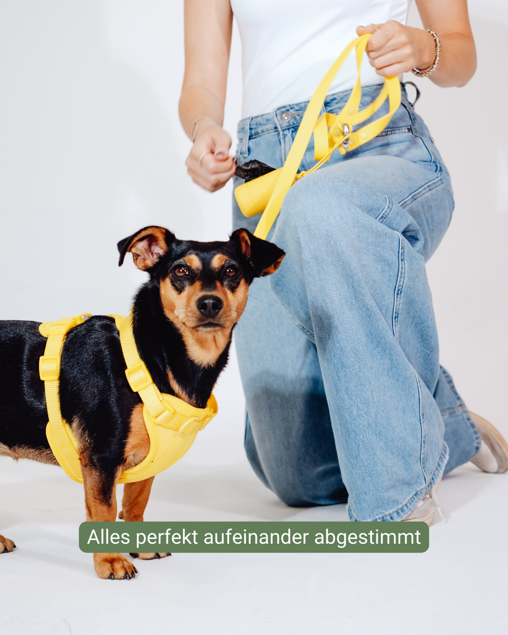 Sunny Soul Velvy Harness Set