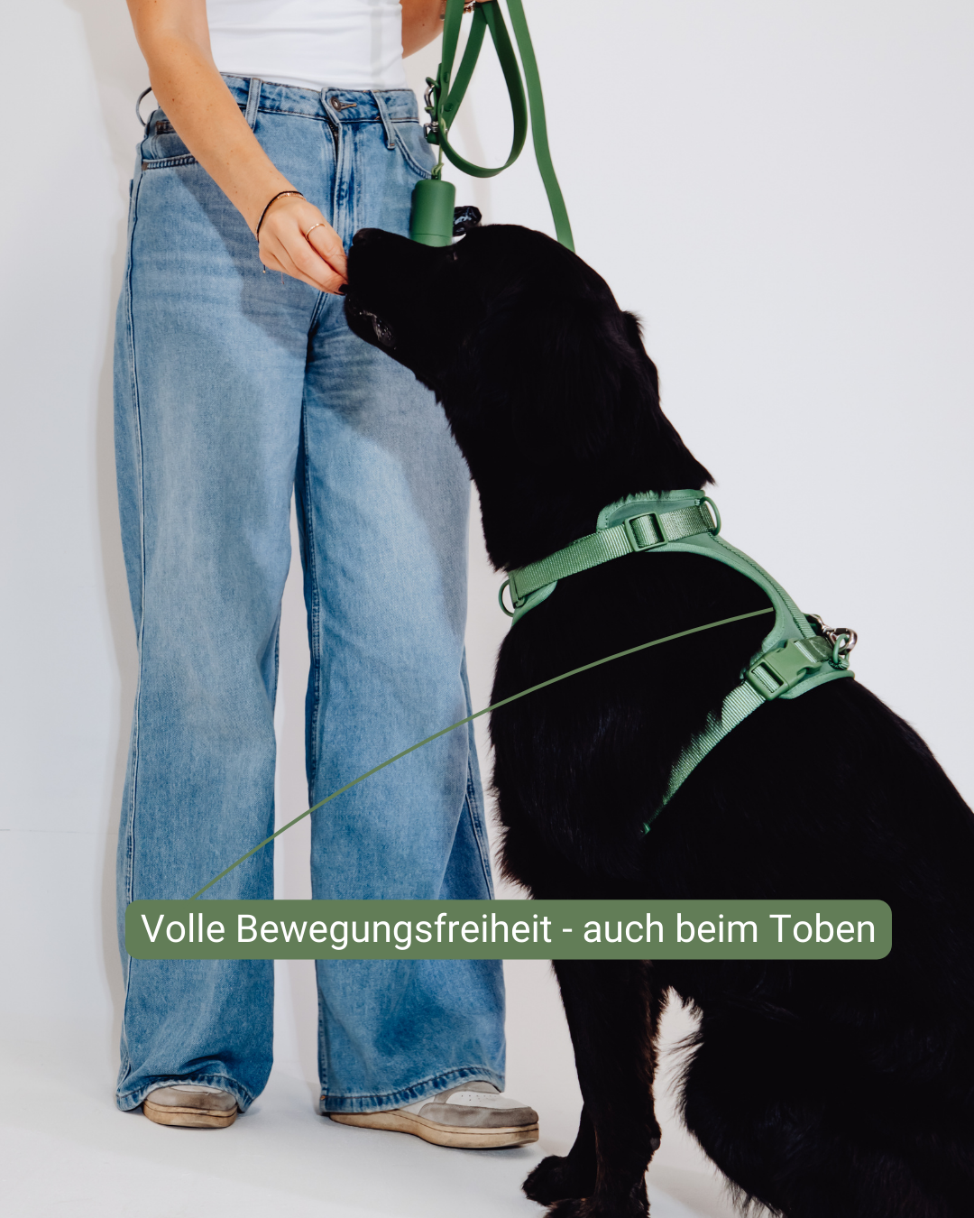 Waldpfote Velvy Harness Set
