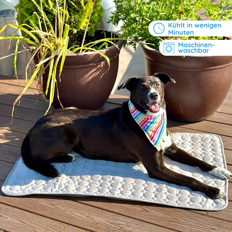 Dog Cooling Mat