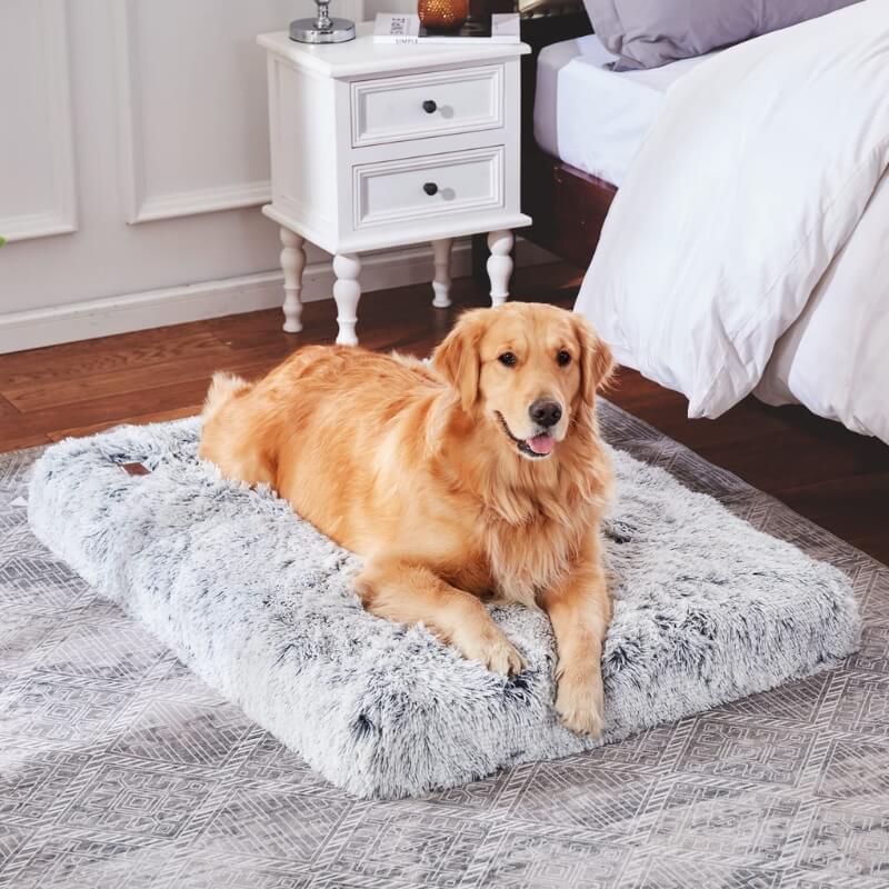 Orthopedic Dog Cushion