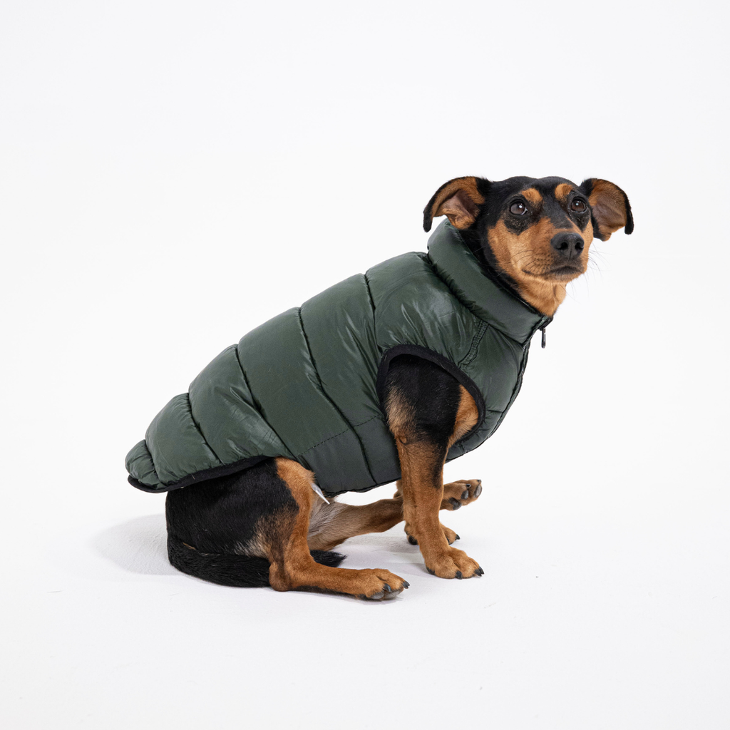 PocketFlip Reversible Dog Coat