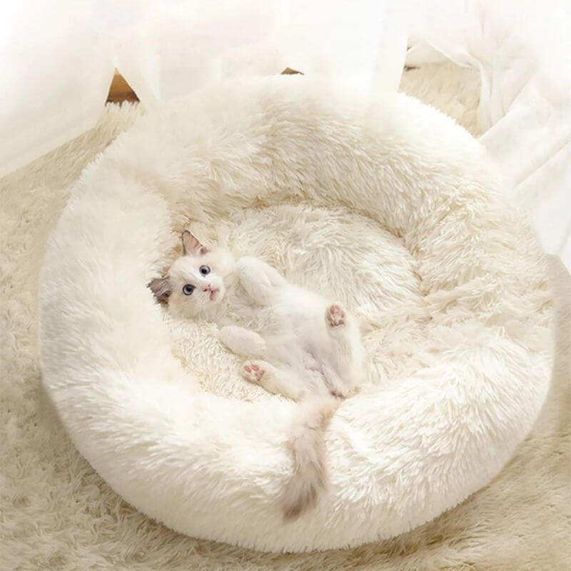 Anti-Anxiety Cat Bed