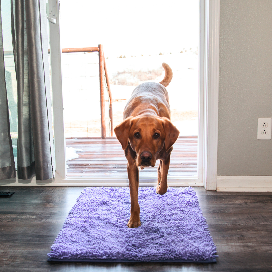 Premium CleanyMat Drying Mat