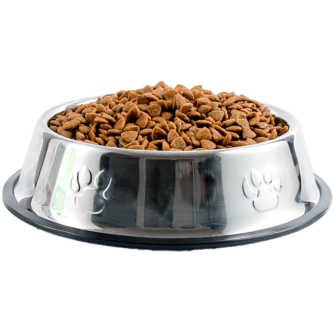 Ene Stainless Steel Dog Bowl