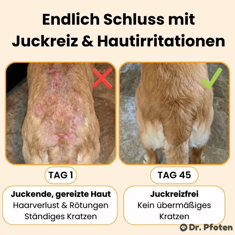 Itch & Allergy Dog Chews