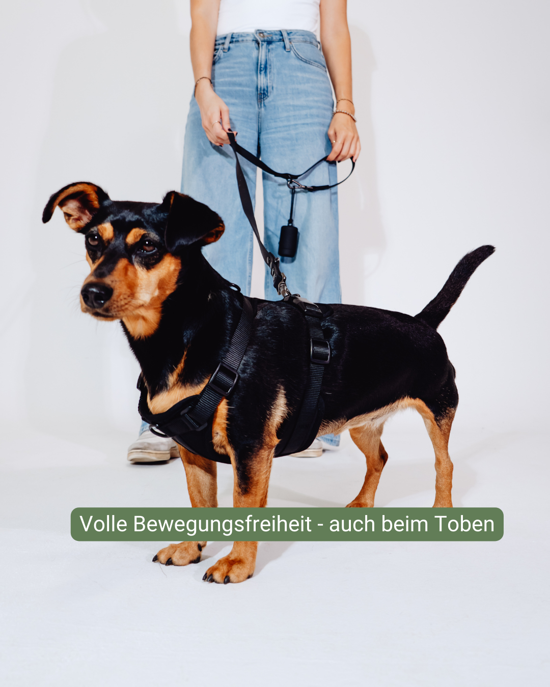 Midnight Velvy Harness Set