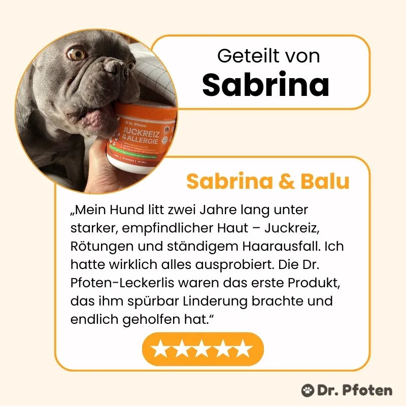 Itch & Allergy Dog Chews