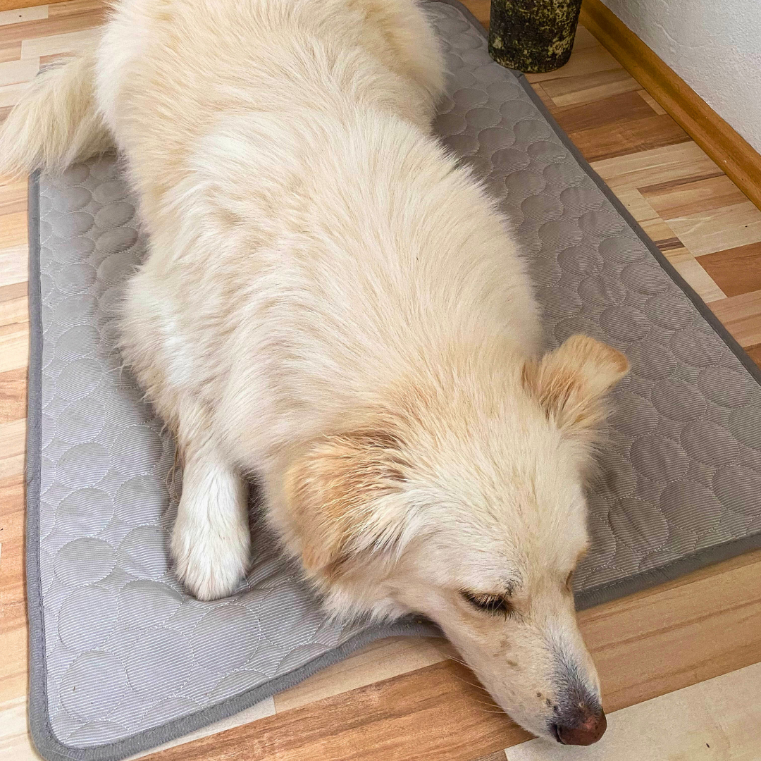 CoolingMat Dog Cooling Mat