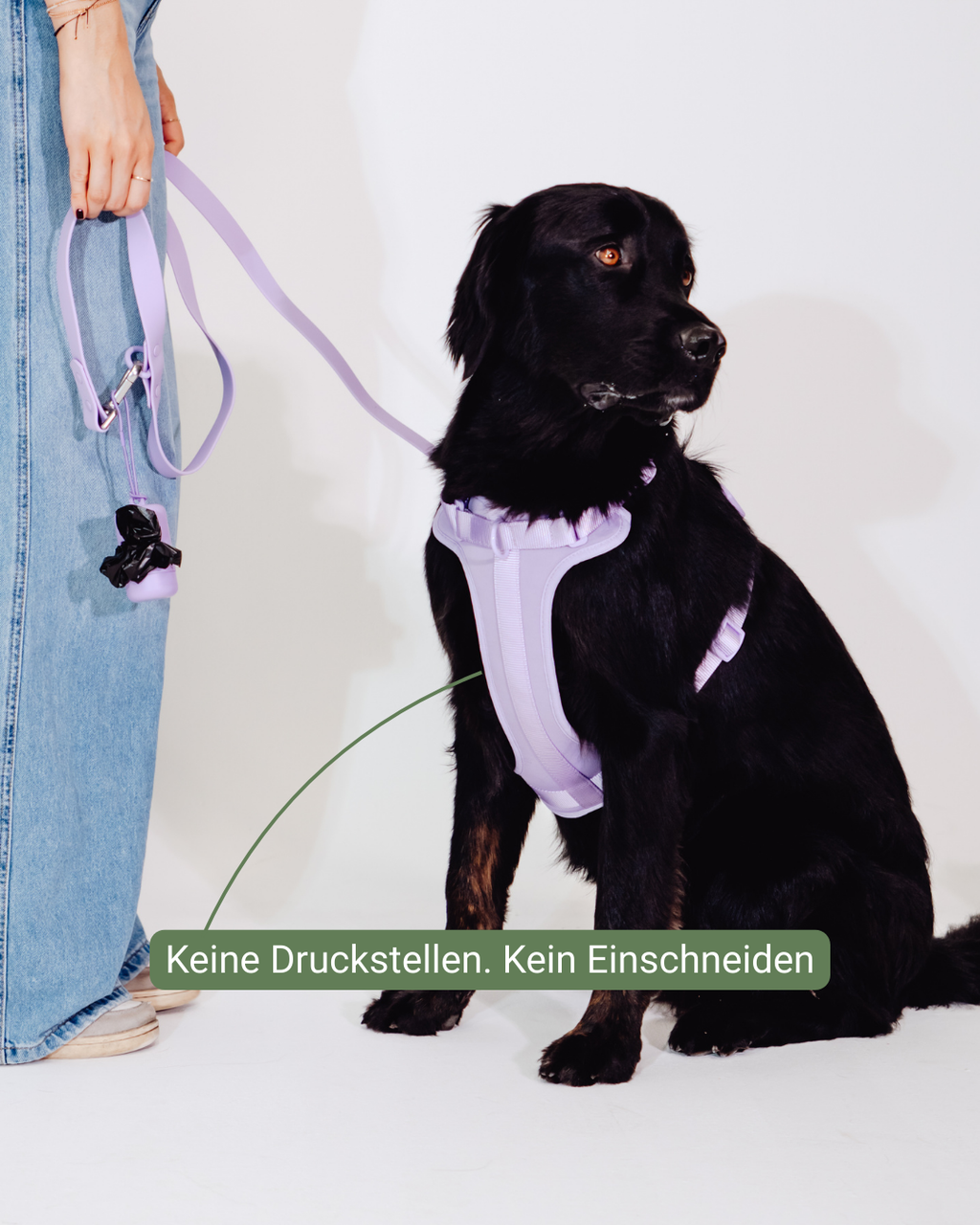Lavendeltraum Velvy Harness Set