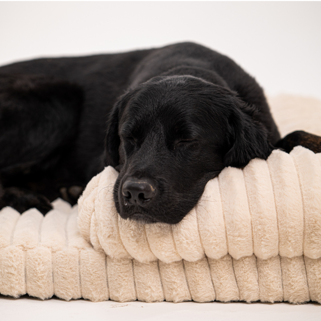 Lunero DeepSleep Orthopedic Dog Bed