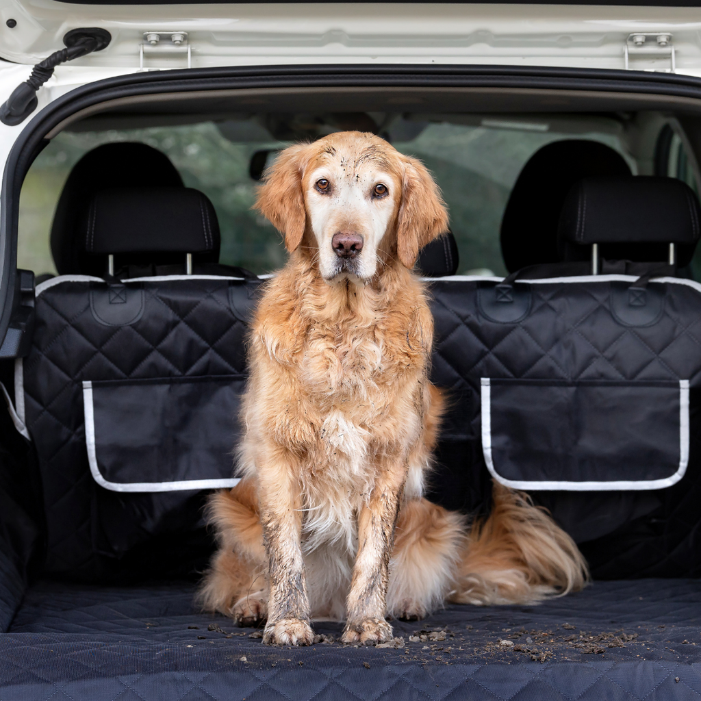 Cargo Dog Trunk Protector