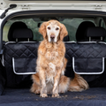 Cargo Dog Trunk Protector