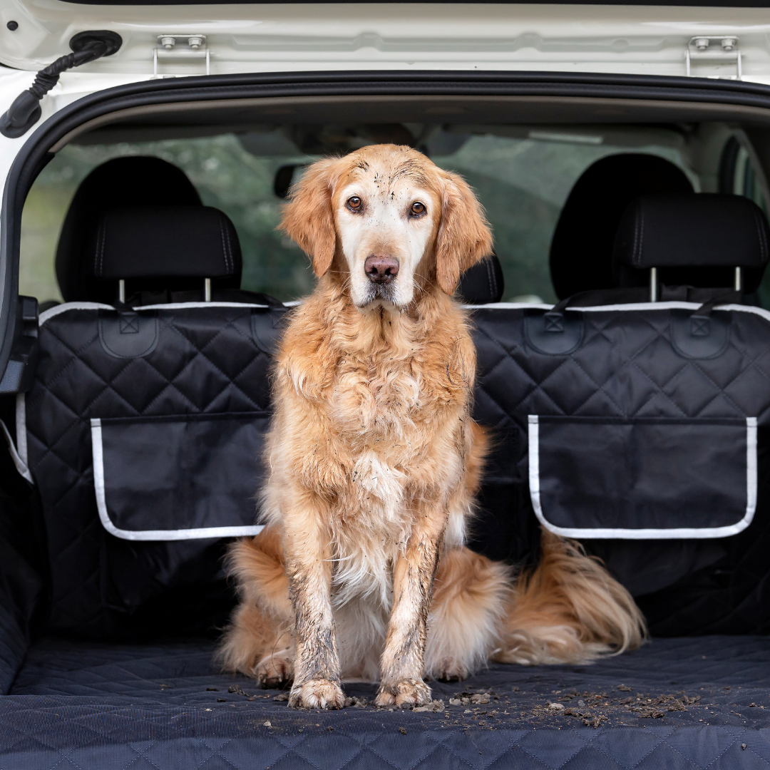 Cargo Dog Trunk Protector